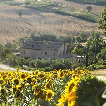 "La Casa Degli Ulivi Art B&B" Trecastelli Eksteriør billede