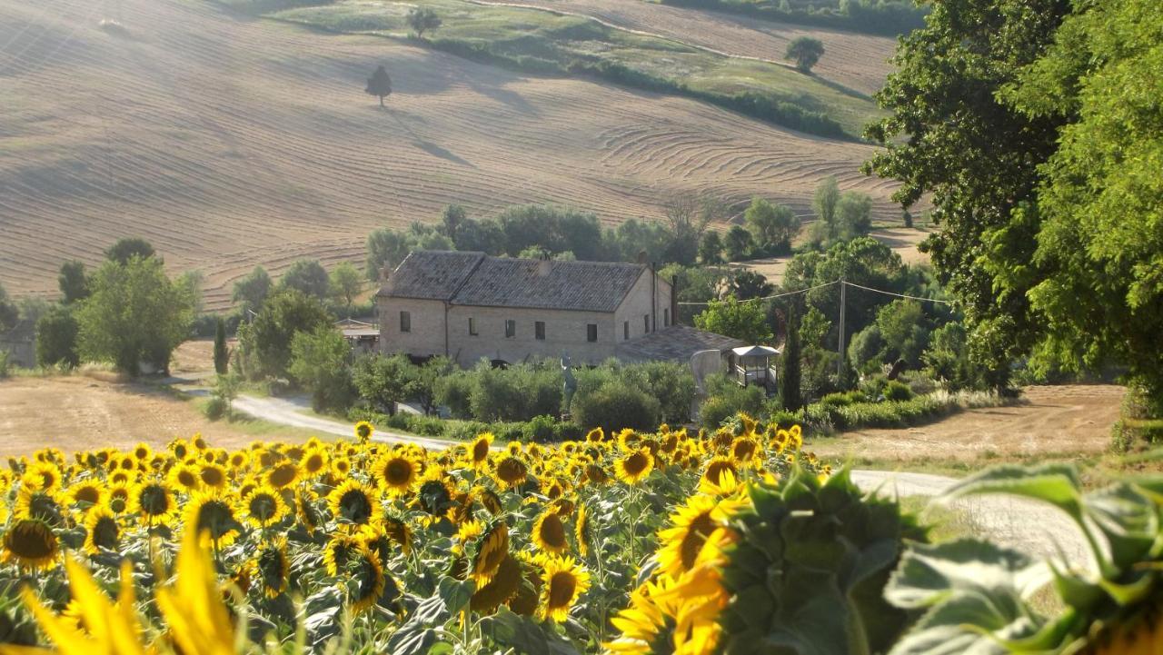 "La Casa Degli Ulivi Art B&B" Trecastelli Eksteriør billede