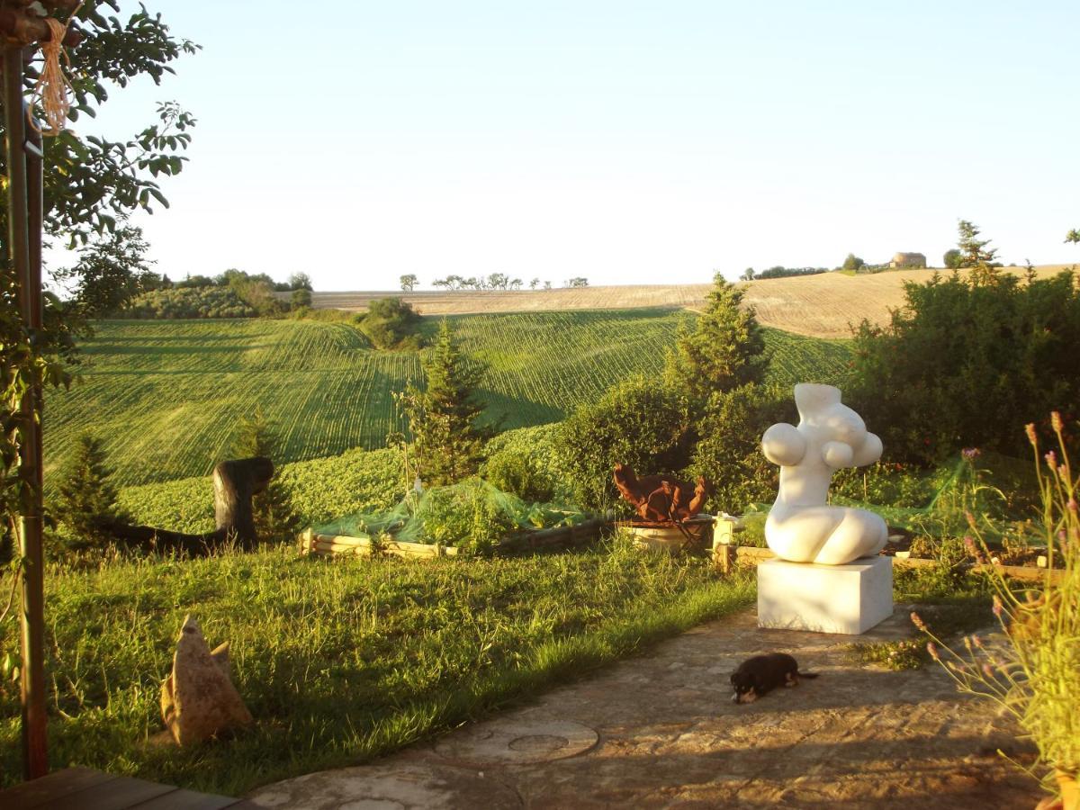 "La Casa Degli Ulivi Art B&B" Trecastelli Eksteriør billede